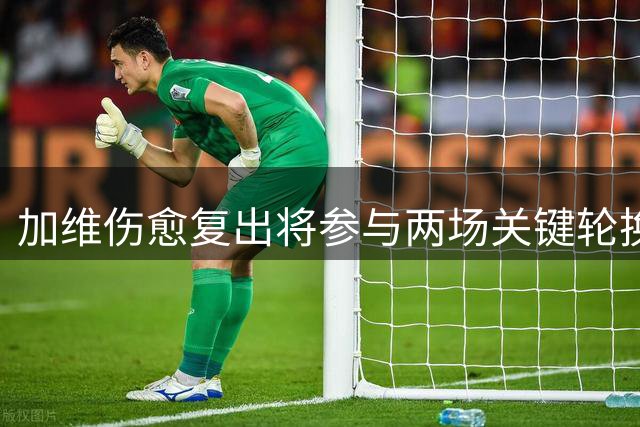加维伤愈复出将参与两场关键轮换